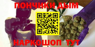 индика Камышлов