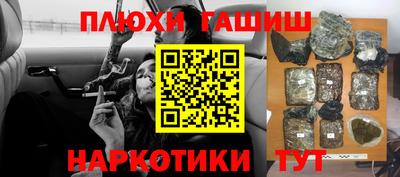 индика Камышлов