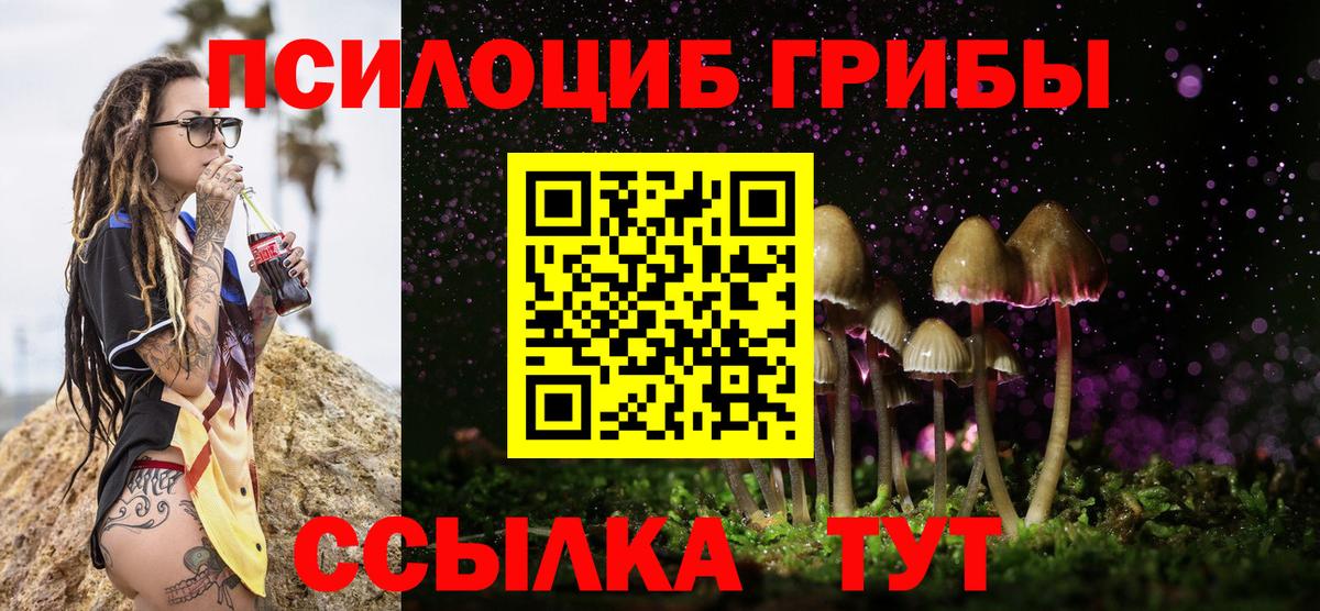 Ейск  Галлюциногенные грибы Psilocybe  где купить   Вход с VPN 